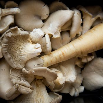 Prachtige verse ingrediënten in de keuken bij ROC Friese Poort